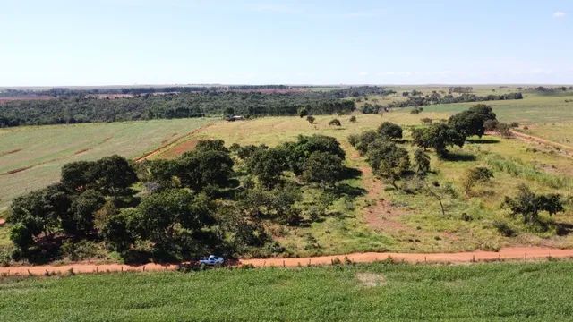 Chácara 9 hectares a 1,5 km da cidade de Bandeirantes - MS! - Foto 4