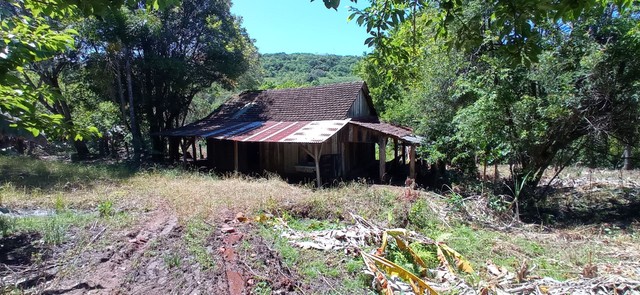 Chácara 1 hectare,com arroio e galpão e frutíferas - Foto 4