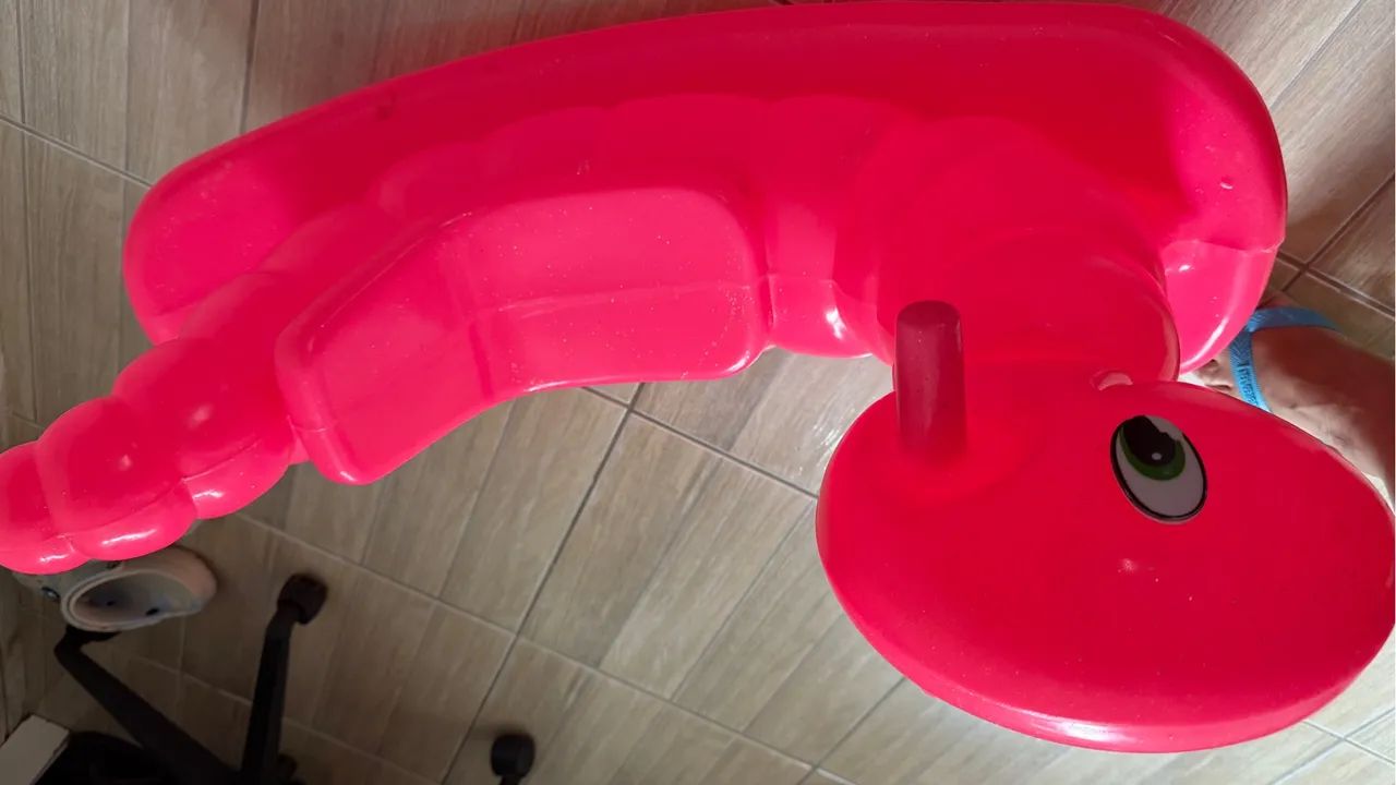 Cavalinho rosa - Foto 2