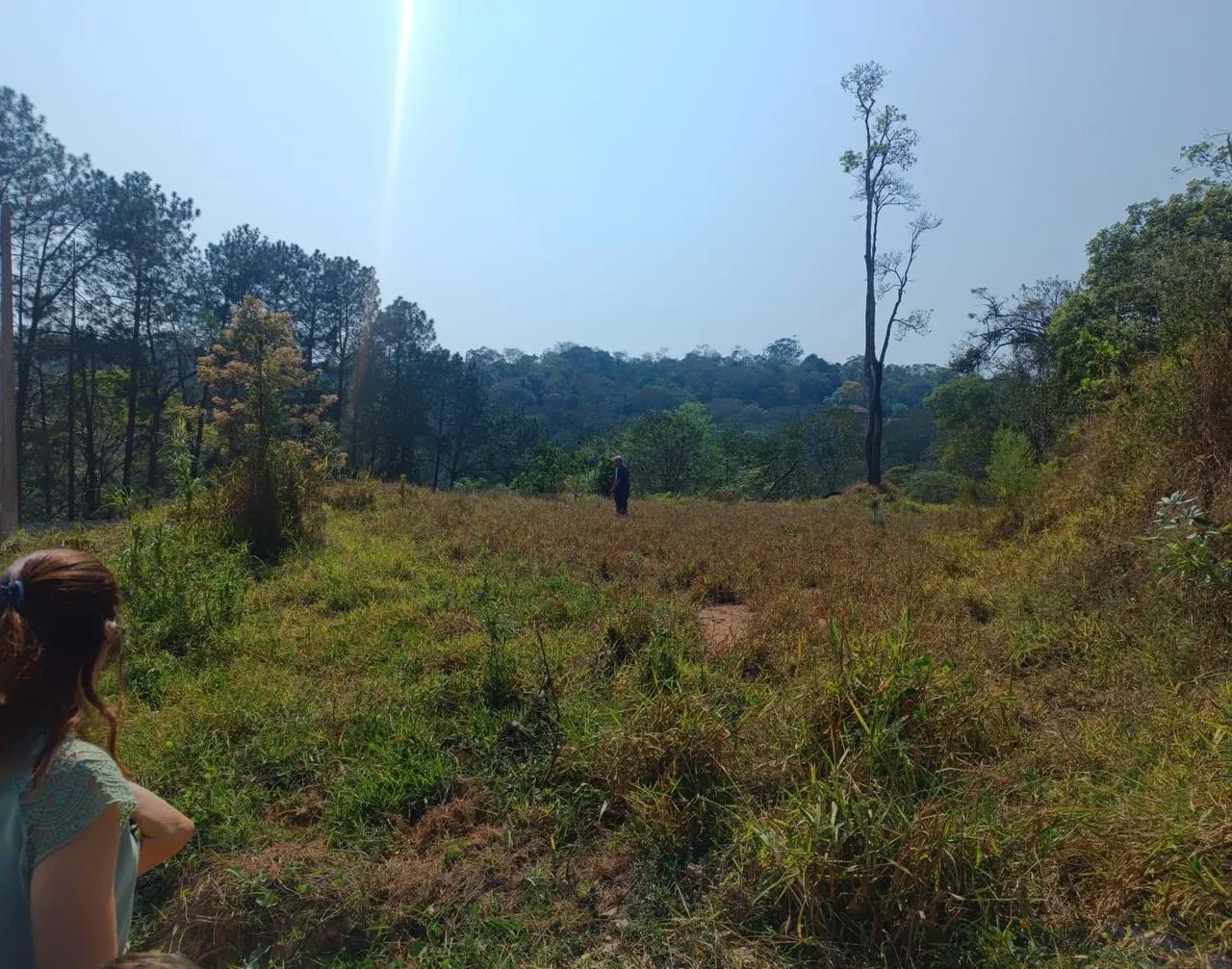 foto - Campo Limpo Paulista - Pau Arcado