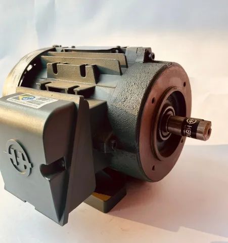 Motor 1CV 4Polos - 1735 rpm - NOVO - Foto 6