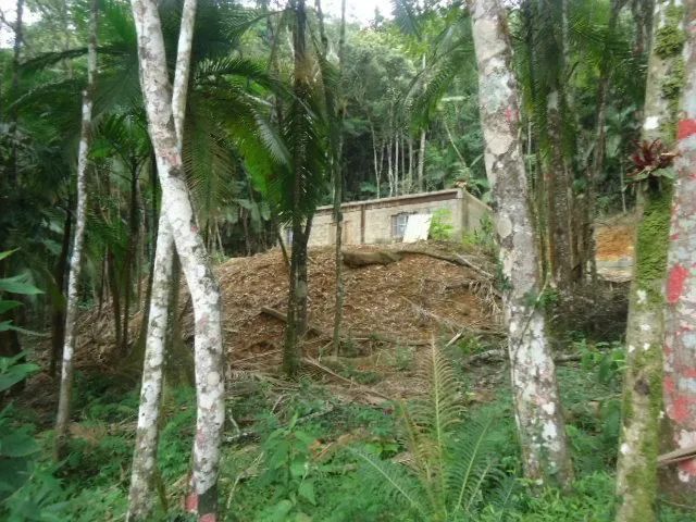 Terreno com cachoeira medindo 2 hectares  - Foto 11