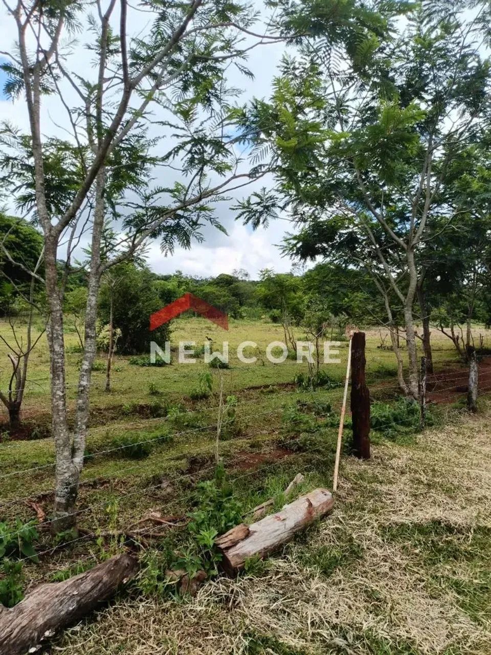 Chácara em São Miguel do Iguaçu - Serra do Mico - São Miguel do Iguaçu/PR - Foto 4