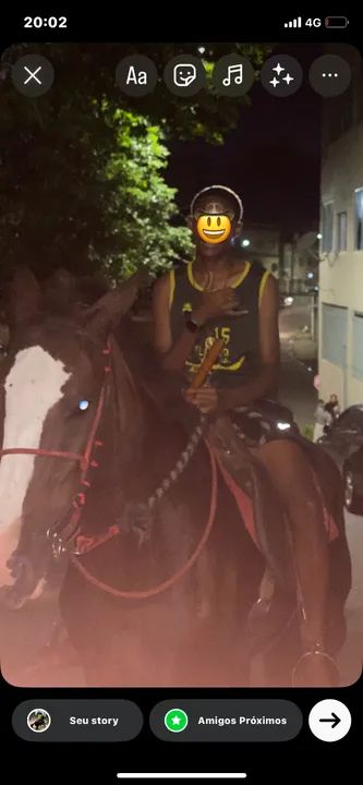 Égua mangalarga paulista marcha picada e batida dócil pra adulto e criança muito esperta  - Foto 4