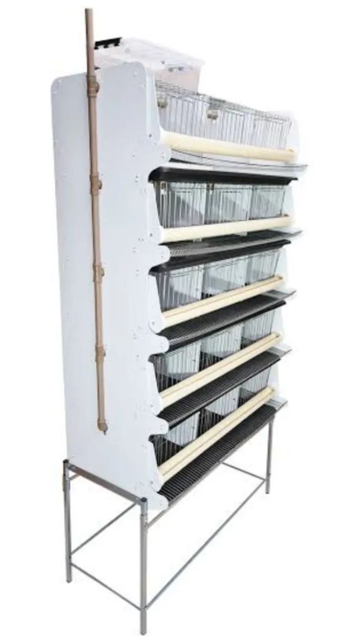 Bateria de Gaiola para Codornas