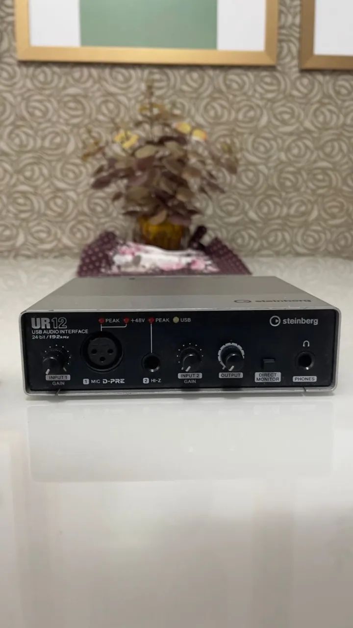 Interface de Audio Steinberg UR12
