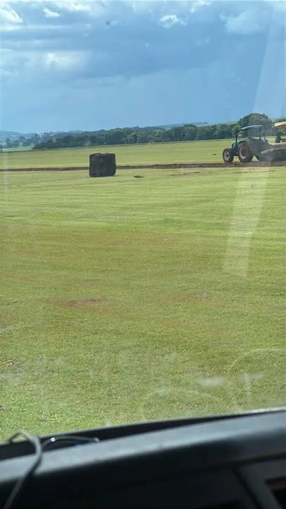 grama  esmeralda em tapetes selecionada