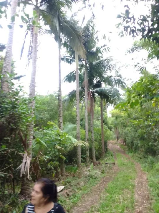 Terreno zona rural - Foto 4
