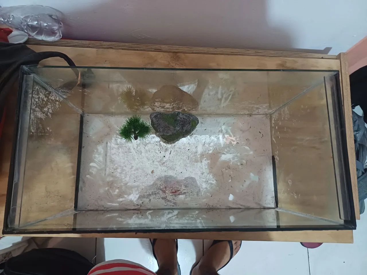 Aquário de vidro +50L - Foto 5