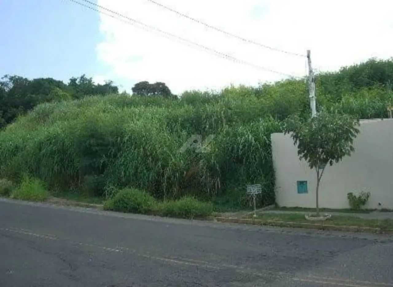 área - Parque Taquaral - Campinas - Foto 5