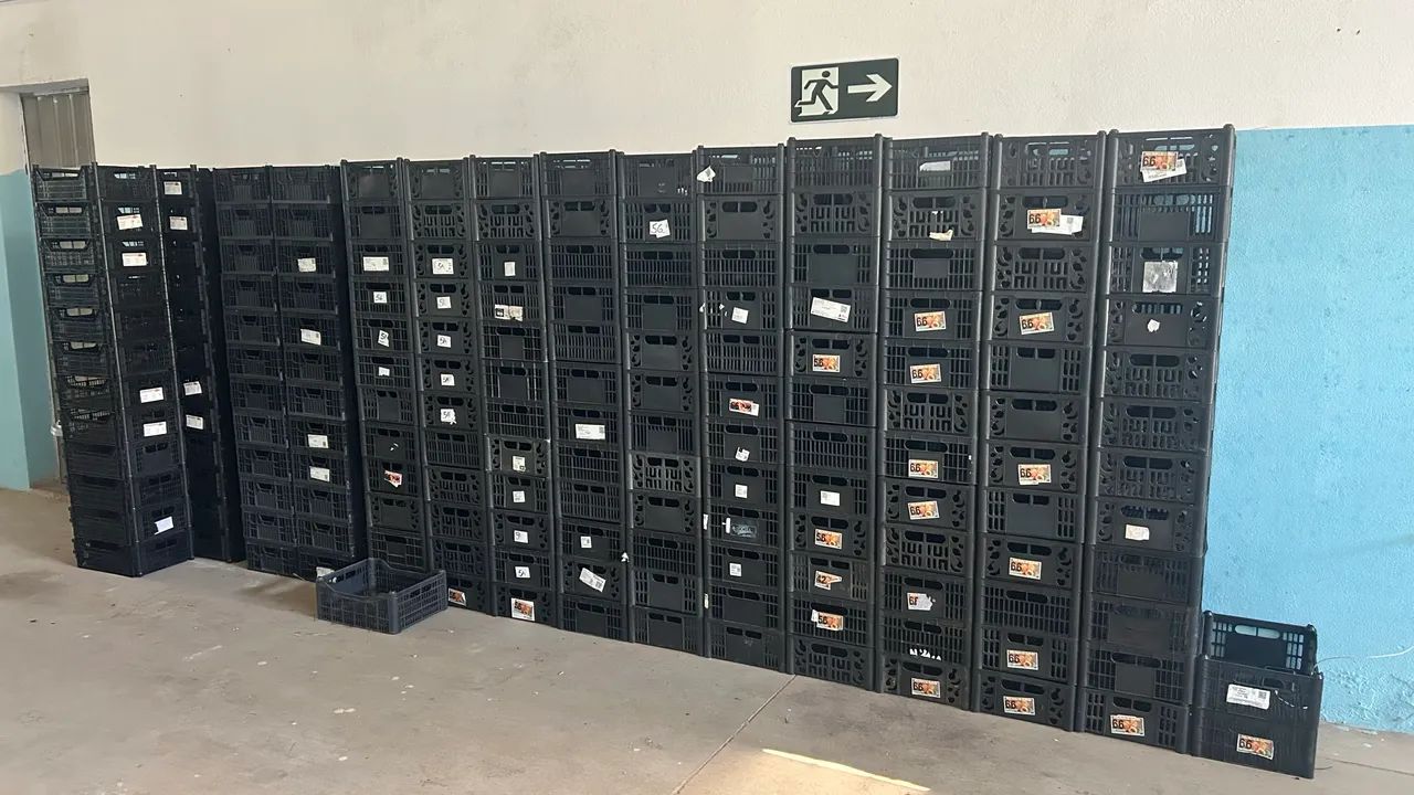 Caixas plásticas frutas 