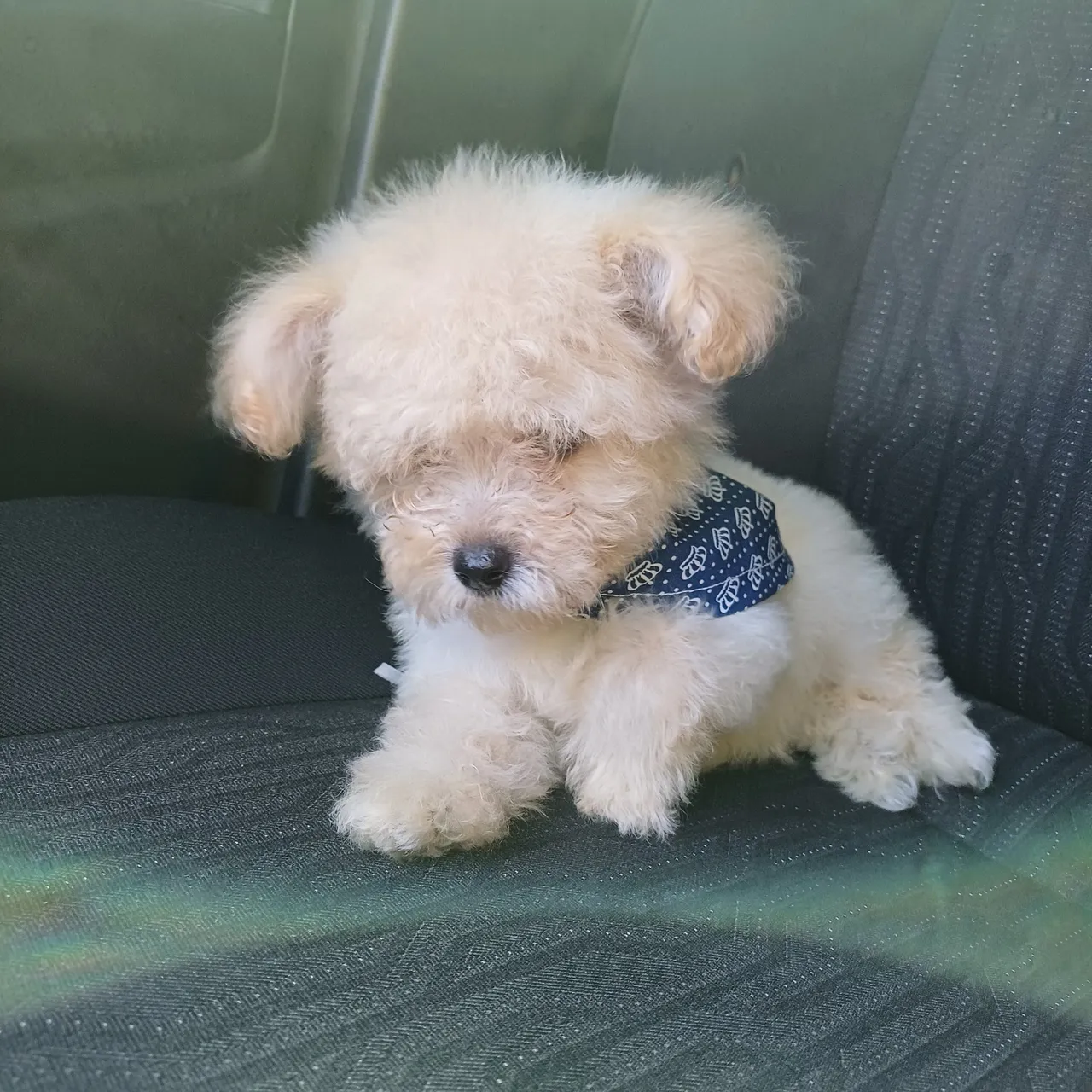 Mini podlle