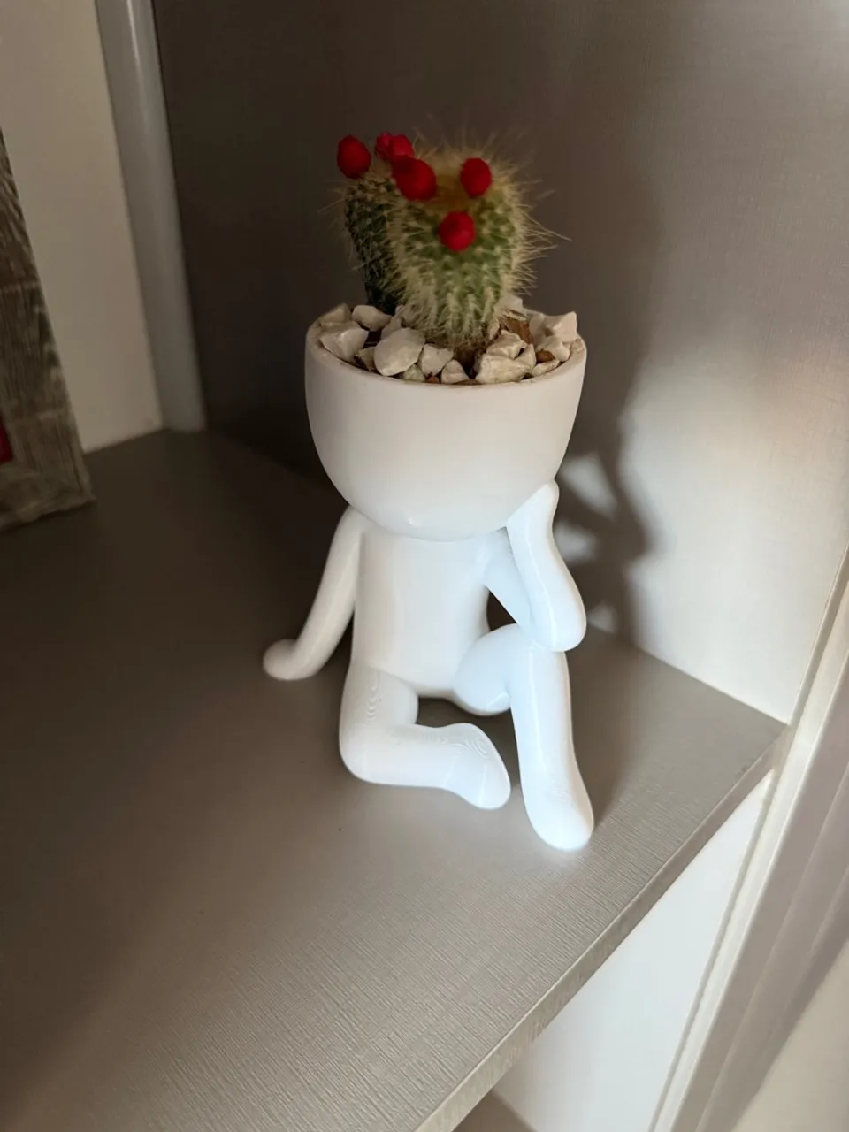 Robert Plants - Vaso para Suculentas - Modelo Pensativo