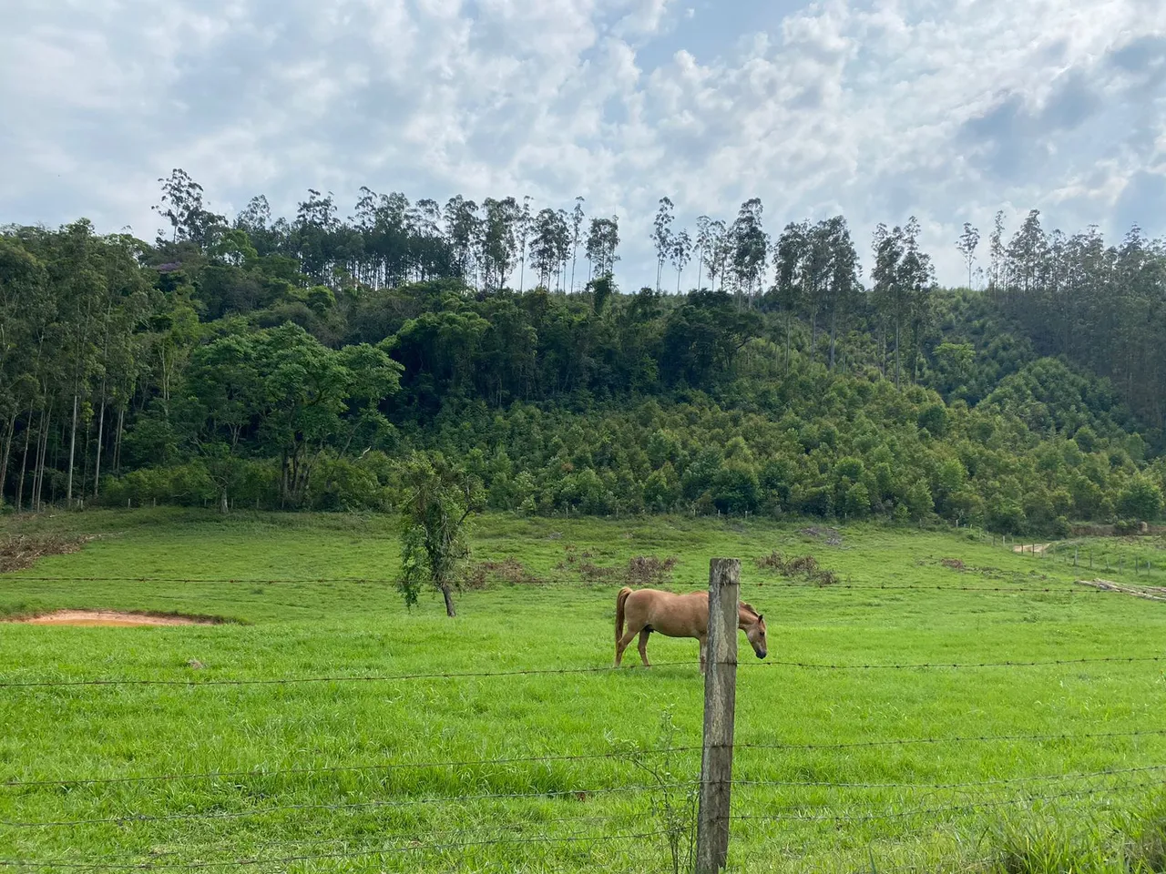 Terrenos com água, luz e portaria a poucos minutos do centro de Alumínio-SP