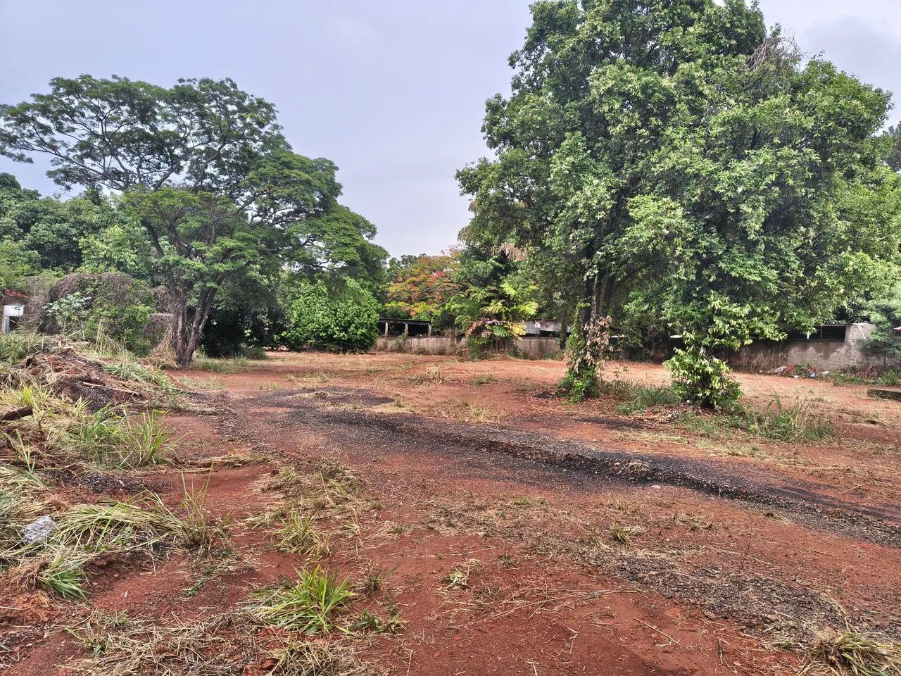 Área 6.402m² - Oportunidade! - Foto 2