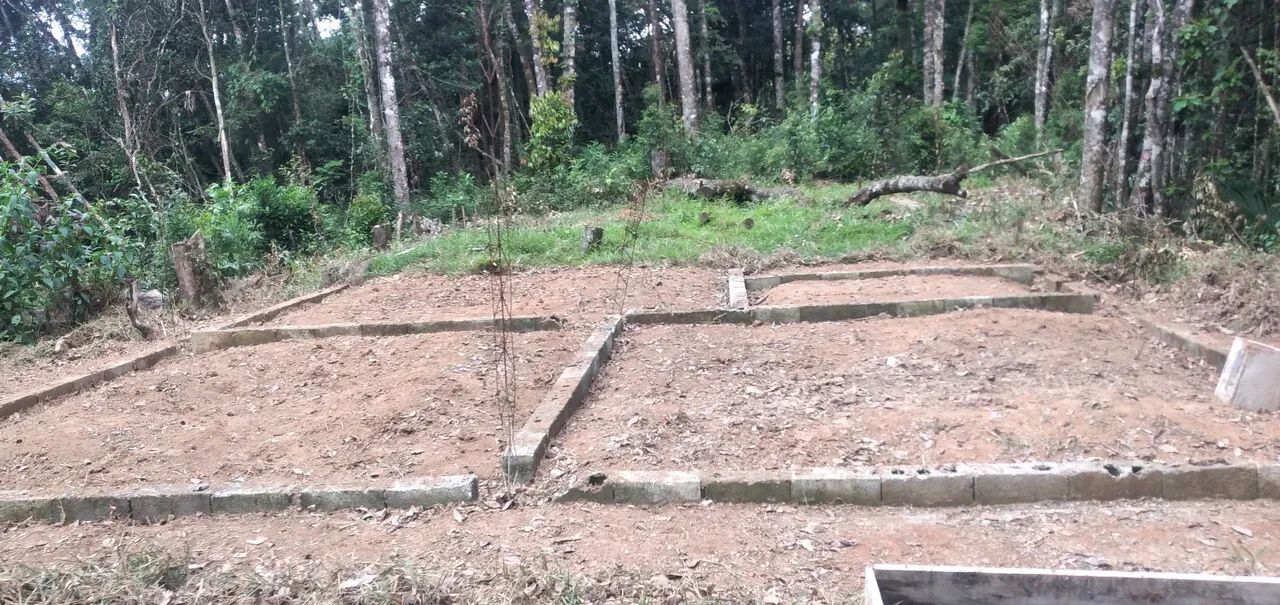 Limpeza de terrenos.