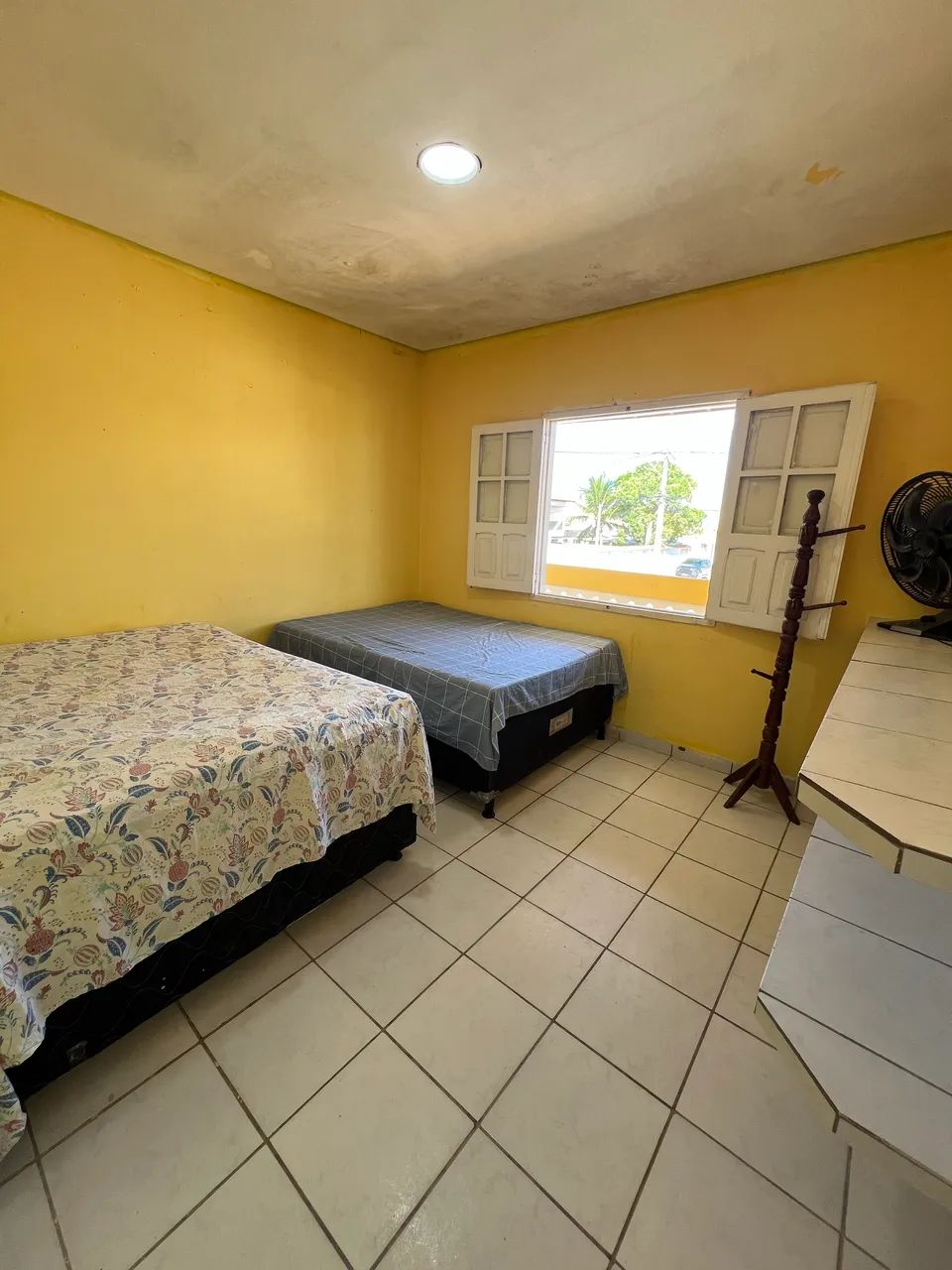 Disponível para Nata, Ano novo. - Foto 5