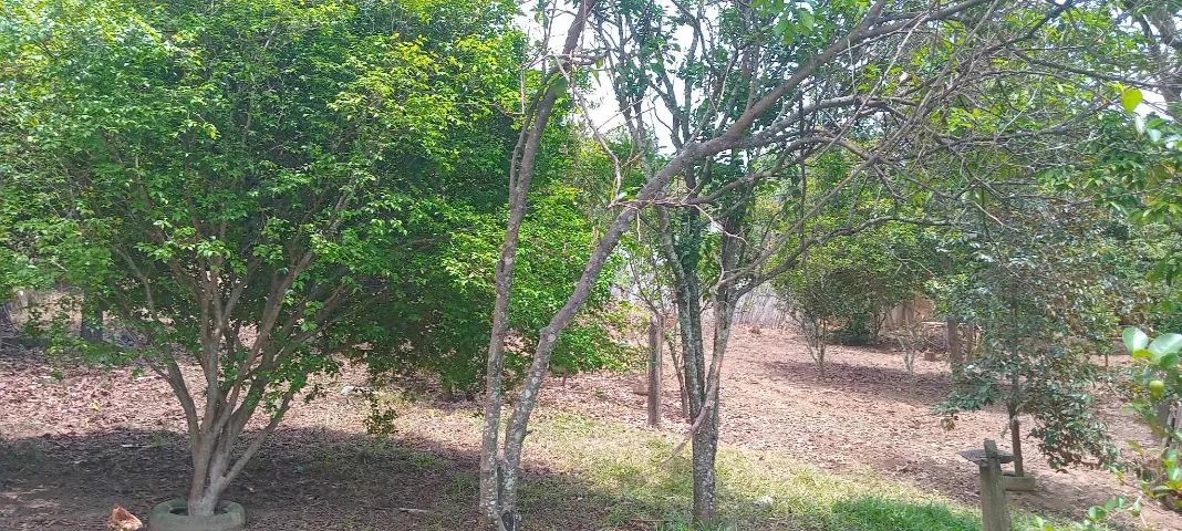 Chácara a venda na Curitiba ( Distrito de Cambuci-RJ ) - Foto 3