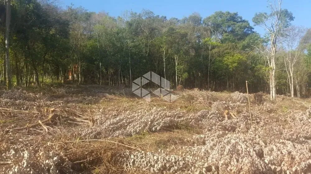 Terrenos 705 m² Loteamento no Bairro Piá