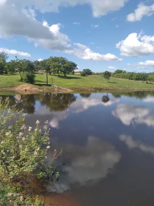 Sítio próximo à cidade de Piancó-PB - Foto 5