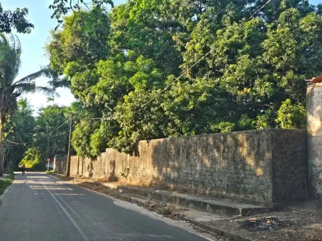Sitio Maracanã   - Foto 2