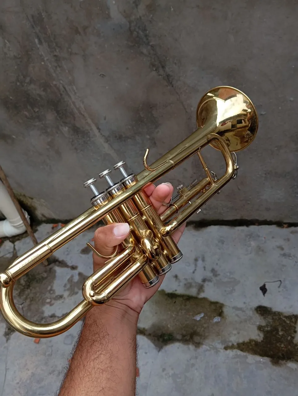 Trompete Dourado