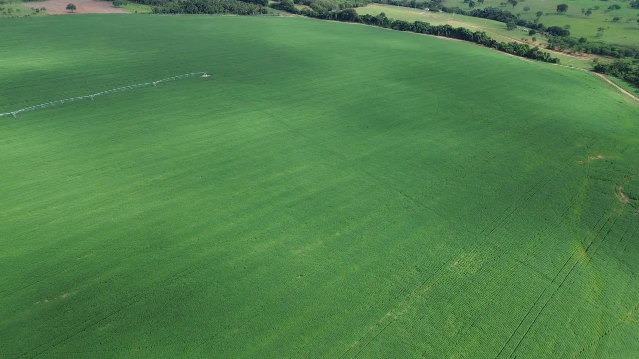 Fazenda Itaberaí  - Foto 2