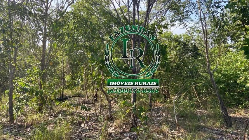 Fazenda 174 Alqueires Agricultura e Pecuária - Foto 3