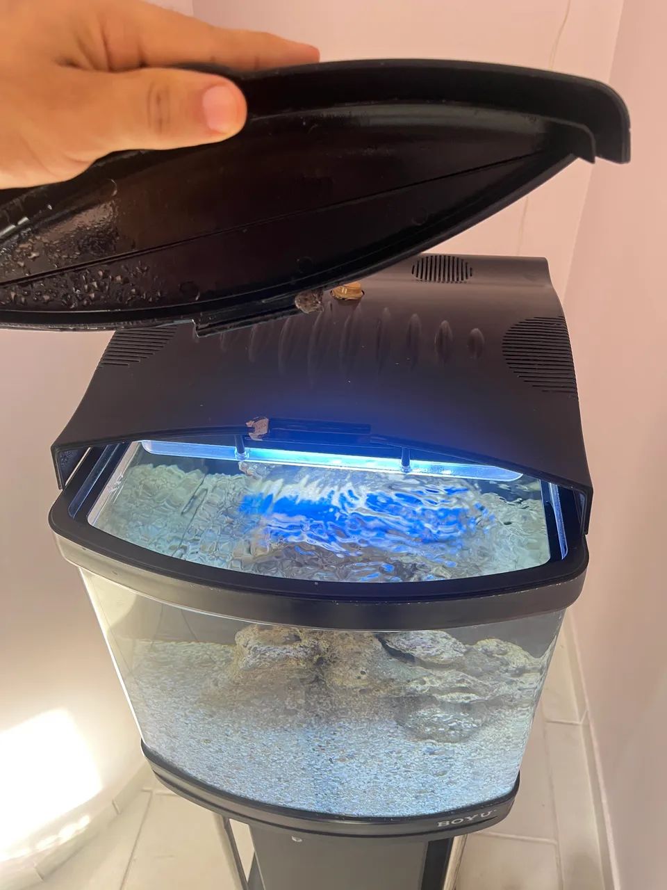 Aquário boyu nano - Foto 3