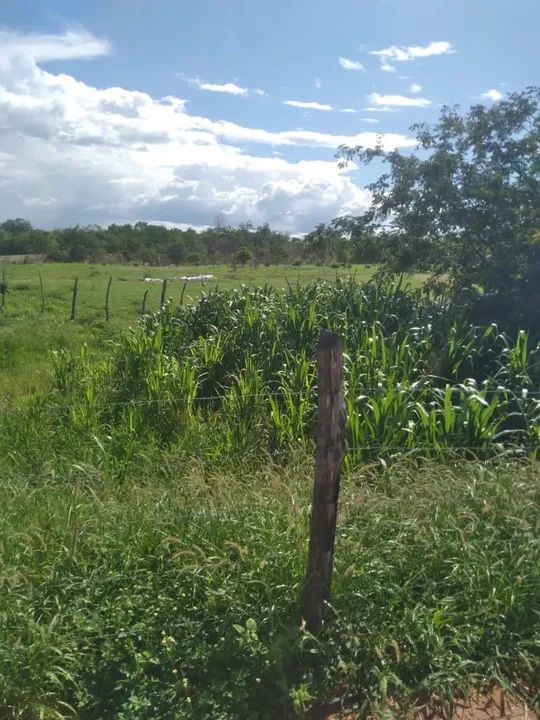 Sítio próximo à cidade de Piancó-PB - Foto 4