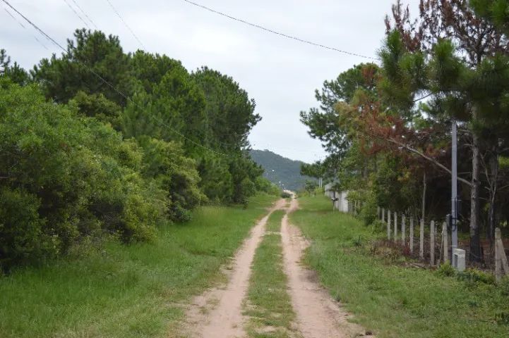Oferta - Lindo Terreno 1.000 m2 no Rio Vermelho/Florianópolis - Acesso praia Moçambique - Foto 2