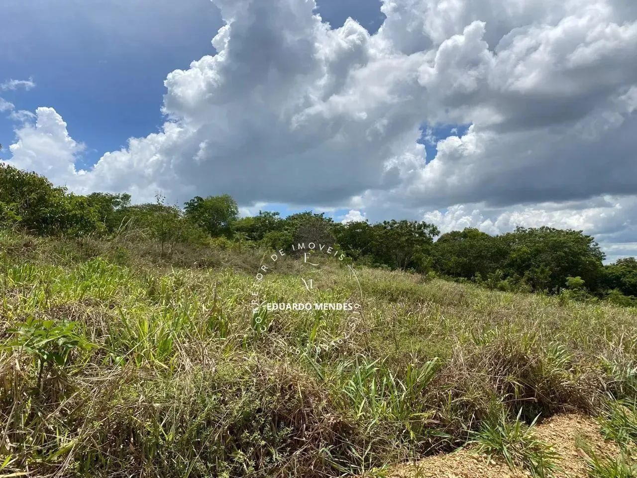 Linda chácara com 17.74 hectares, rica em água, 500 metros da GO 474 Abadiânia - Foto 8