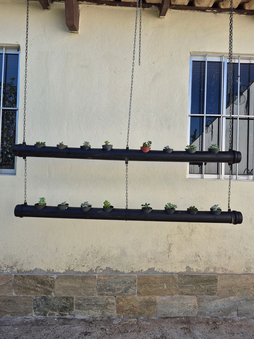 Suporte com 16 suculentas. Design e Beleza para Seu Espaço