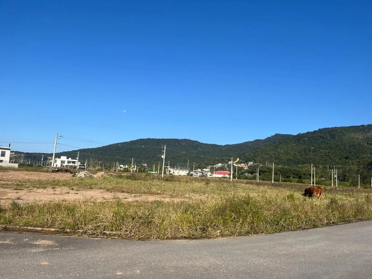 Terreno para Venda em Florianópolis, Vargem Grande - Foto 4
