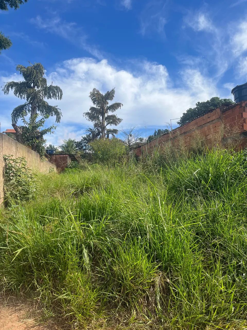 Lote em águas lindas  - Foto 5