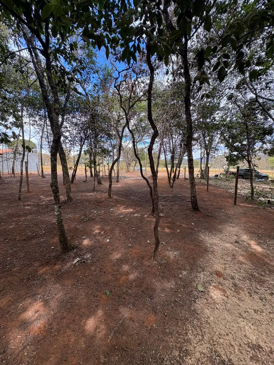 Vende-se lote em Pirenópolis  - Foto 3