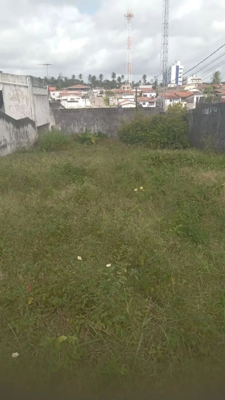 Limpeza na roçadeira  - Foto 3