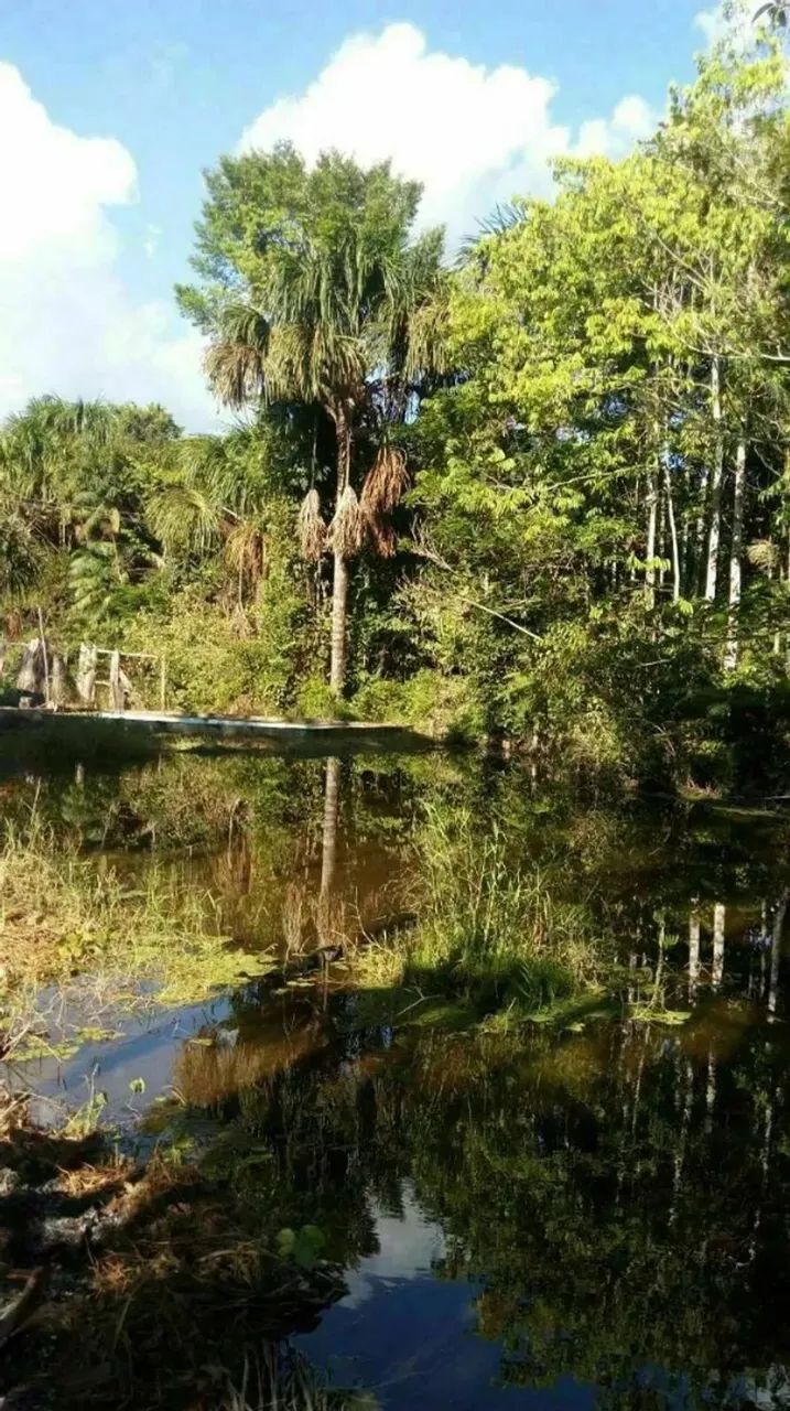 VENDO SÍTIO EM RIO PRETO DA EVA COM 27.500 METROS - Foto 5