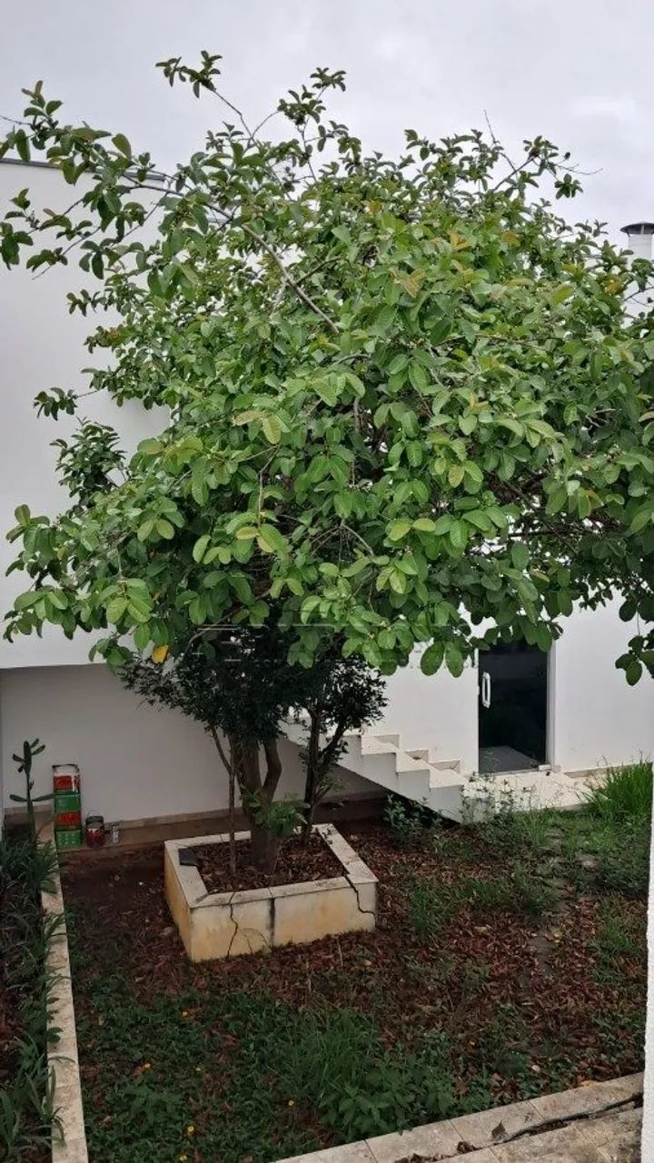 CASA COMERCIAL VILA ASSIS - Foto 2