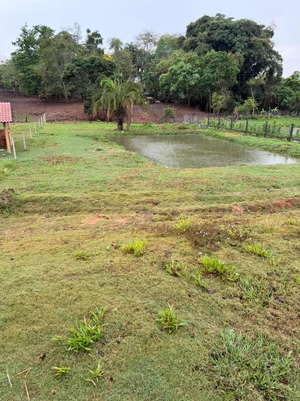 Vende-se chácara itaberai  - Foto 4