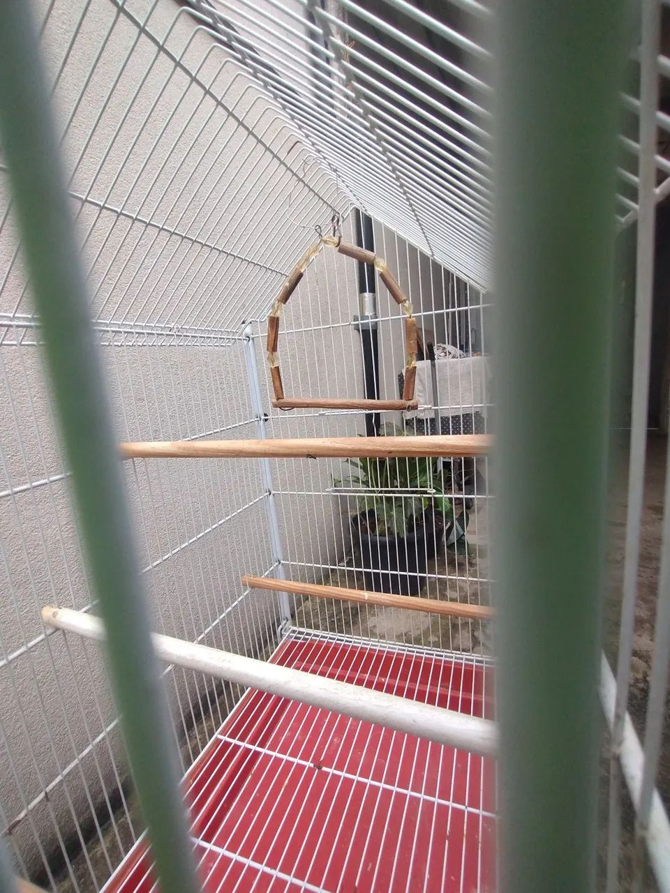 Gaiola  - Foto 2