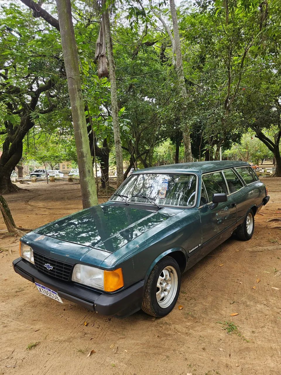 Chevrolet Caravan L/sl/s/ss 2.5/4.1/4.2 1989