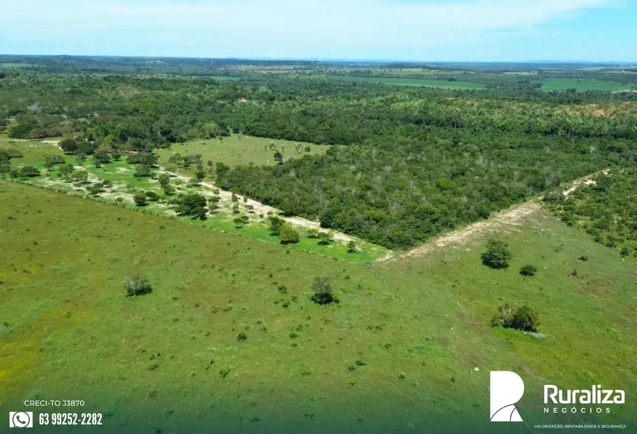 183 HA ABERTOS | REGIÃO DE SAFRA E SAFRINHA - Foto 3