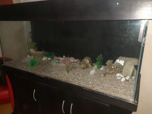 Aquário com móvel grande  - Foto 4