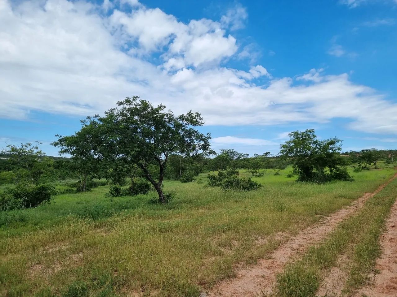Fazenda barata em Urucuia MG  - Foto 4