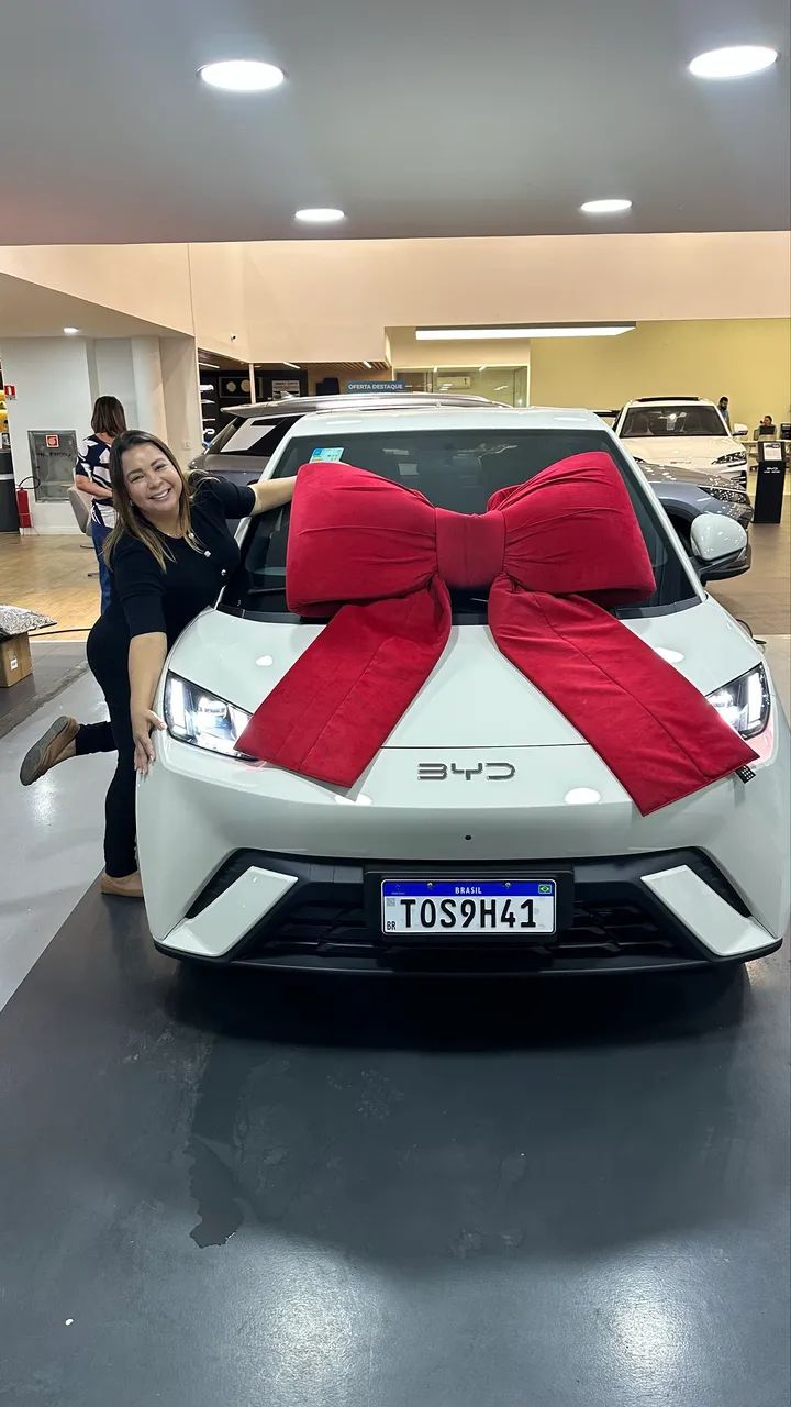 BYD Dolphin Mini (Elétrico) 2027