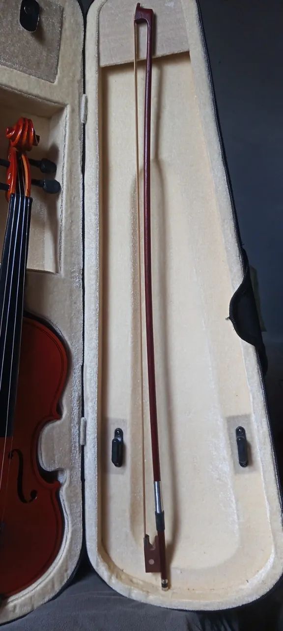 Violino Iniciante - Foto 2