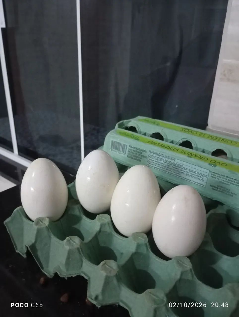 ovos 