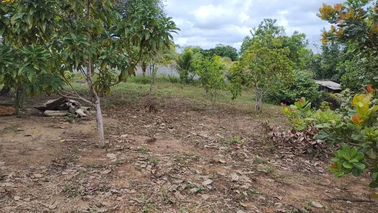 Vendo sítio em Oitis  - Foto 5