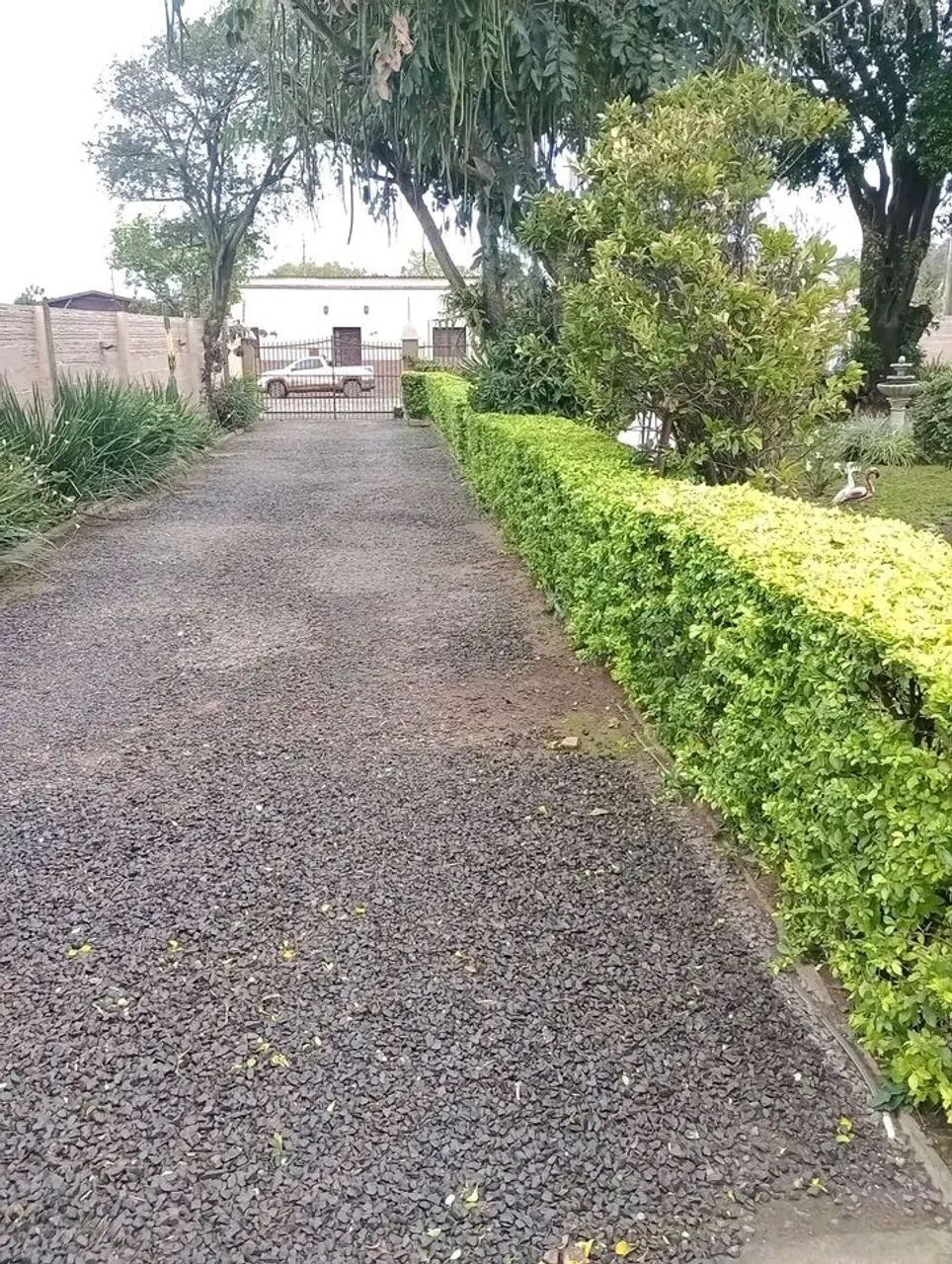 Jardineiro disponível  - Foto 2